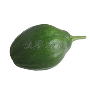碧玉西葫芦