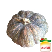 圆南瓜