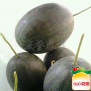 黑美人西瓜