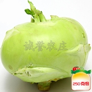 水果苤蓝