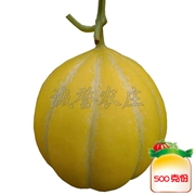 香格里拉