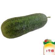 冬瓜